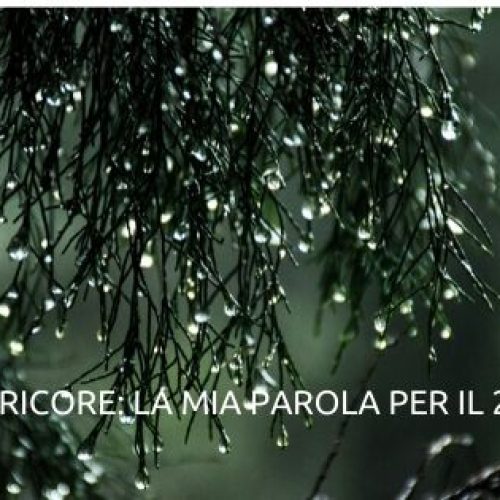 Petricore: la mia parola ispiratrice per il 2020